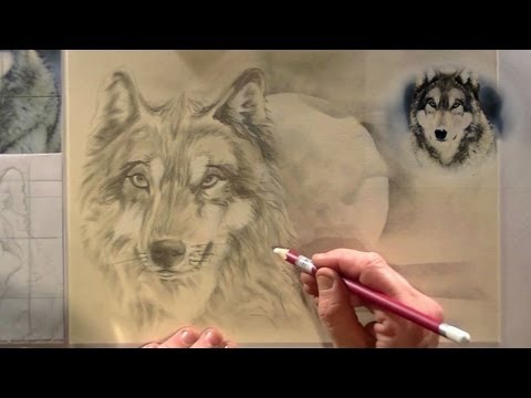 WOLF tekenen voor beginners potlood tekening